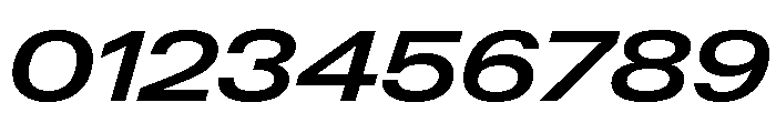 Neue Gstaad Expanded Variable Regular 5 Font OTHER CHARS