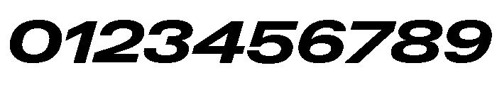 Neue Gstaad Expanded Variable Regular 7 Font OTHER CHARS