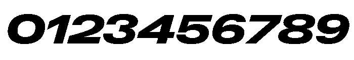 Neue Gstaad Expanded Variable Regular 8 Font OTHER CHARS