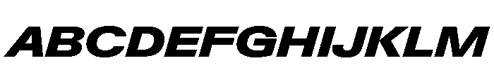 Neue Gstaad Expanded Variable Regular 8 Font UPPERCASE