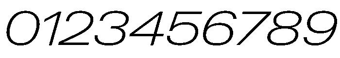 Neue Gstaad Expanded Variable Regular Font OTHER CHARS
