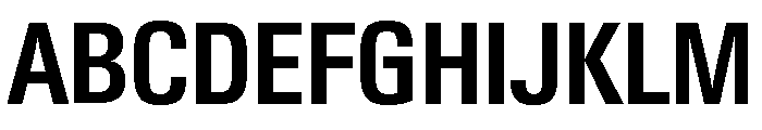 Neue Gstaad Narrow Variable Narrow 5 Font UPPERCASE