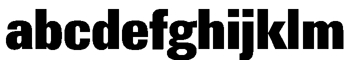 Neue Gstaad Narrow Variable Narrow 8 FONT
