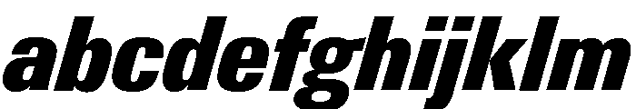 Neue Gstaad Narrow Variable Regular 8 FONT