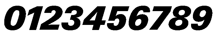 Neue Gstaad Normal Variable Black Italic Font OTHER CHARS