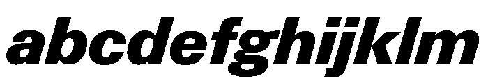 Neue Gstaad Normal Variable Black Italic FONT