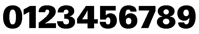 Neue Gstaad Normal Variable Black Font OTHER CHARS