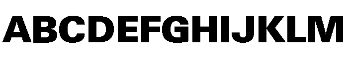 Neue Gstaad Normal Variable Black Font UPPERCASE