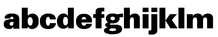 Neue Gstaad Normal Variable Black FONT