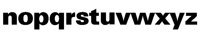 Neue Gstaad Normal Variable Black Font LOWERCASE