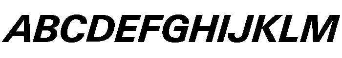 Neue Gstaad Normal Variable Bold Italic Font UPPERCASE