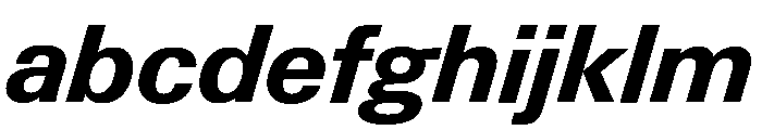 Neue Gstaad Normal Variable Bold Italic FONT