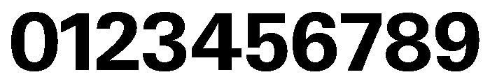 Neue Gstaad Normal Variable Bold Font OTHER CHARS