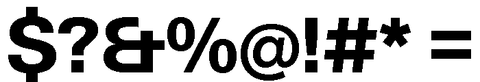 Neue Gstaad Normal Variable Bold Font OTHER CHARS