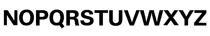 Neue Gstaad Normal Variable Bold Font UPPERCASE