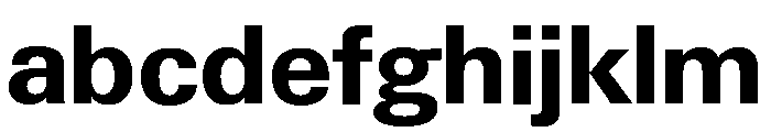 Neue Gstaad Normal Variable Bold FONT