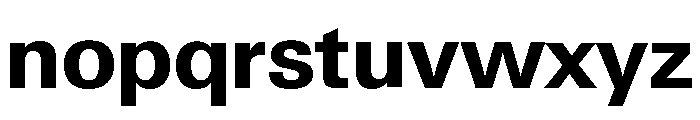 Neue Gstaad Normal Variable Bold Font LOWERCASE