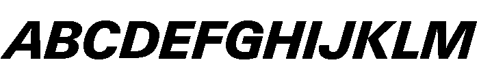 Neue Gstaad Normal Variable Extrabold Italic Font UPPERCASE