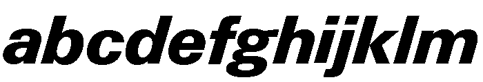 Neue Gstaad Normal Variable Extrabold Italic FONT