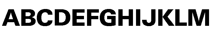 Neue Gstaad Normal Variable Extrabold Font UPPERCASE