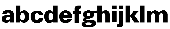 Neue Gstaad Normal Variable Extrabold FONT