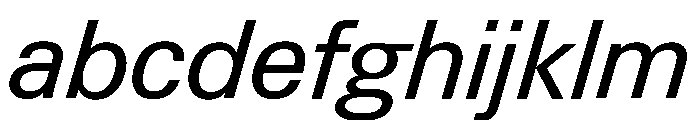 Neue Gstaad Normal Variable Italic FONT