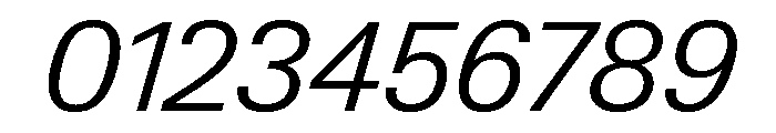 Neue Gstaad Normal Variable Light Italic Font OTHER CHARS
