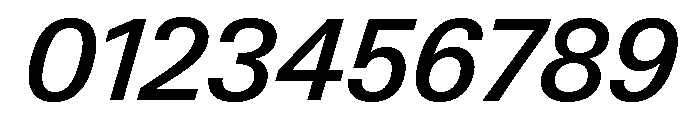 Neue Gstaad Normal Variable Medium Italic Font OTHER CHARS