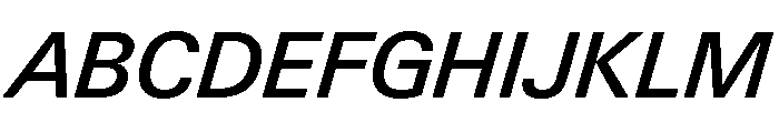 Neue Gstaad Normal Variable Medium Italic Font UPPERCASE