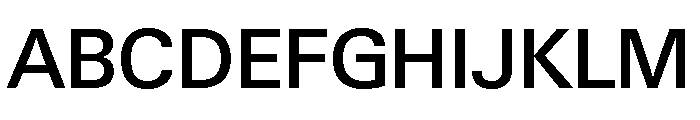Neue Gstaad Normal Variable Medium Font UPPERCASE