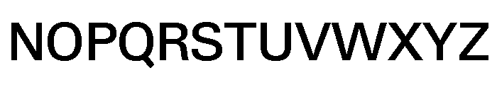 Neue Gstaad Normal Variable Medium Font UPPERCASE