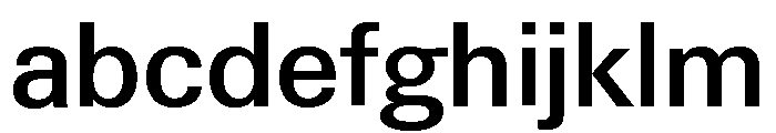 Neue Gstaad Normal Variable Medium FONT