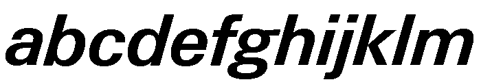 Neue Gstaad Normal Variable Semibold Italic FONT