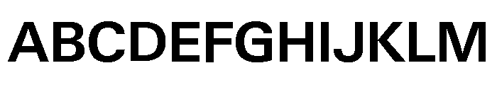 Neue Gstaad Normal Variable Semibold Font UPPERCASE