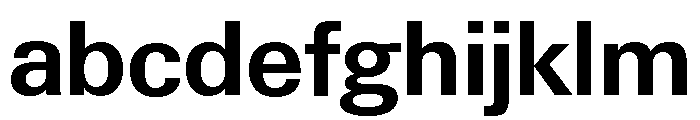 Neue Gstaad Normal Variable Semibold FONT