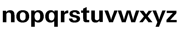 Neue Gstaad Normal Variable Semibold Font LOWERCASE