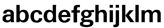 Neue Gstaad Semibold FONT