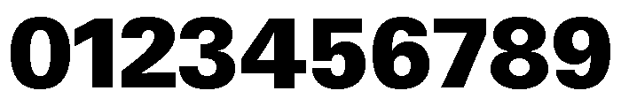 Neue Gstaad Variable Black Font OTHER CHARS
