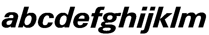 Neue Gstaad Variable Bold Italic FONT