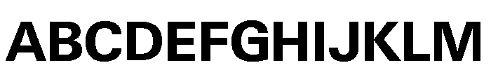 Neue Gstaad Variable Bold Font UPPERCASE