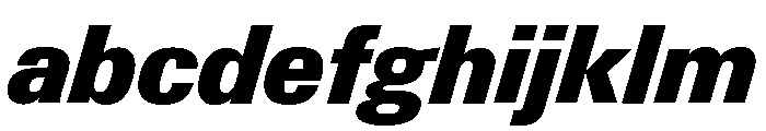 Neue Gstaad Variable Compact Black Italic FONT
