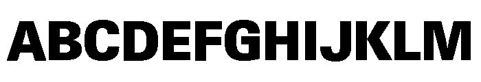 Neue Gstaad Variable Compact Black Font UPPERCASE