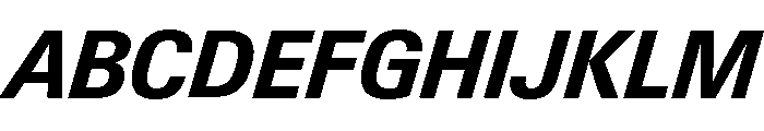 Neue Gstaad Variable Compact Bold Italic Font UPPERCASE