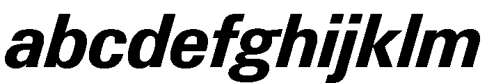 Neue Gstaad Variable Compact Bold Italic FONT