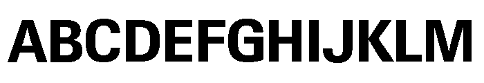 Neue Gstaad Variable Compact Bold Font UPPERCASE