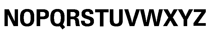 Neue Gstaad Variable Compact Bold Font UPPERCASE