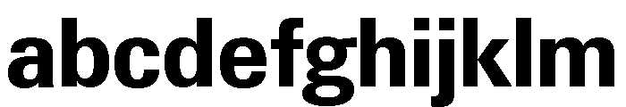Neue Gstaad Variable Compact Bold FONT