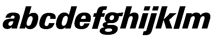 Neue Gstaad Variable Compact Extrabold Italic FONT