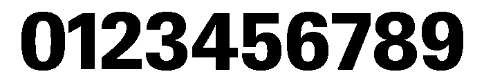 Neue Gstaad Variable Compact Extrabold Font OTHER CHARS