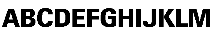 Neue Gstaad Variable Compact Extrabold Font UPPERCASE